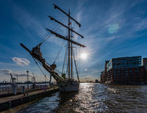 Segelschiff am Fischmarkt by Michael  Beith