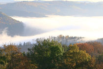 Nebel fliesst durch das Tal von Bernhard Kaiser