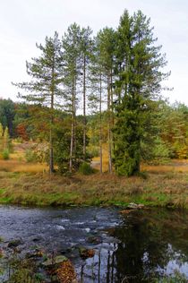 Herbst von Gabi Siebenhühner