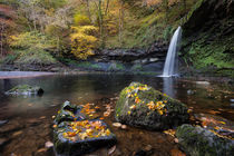 Autumn leaves at Sgwd Gwladus von Leighton Collins