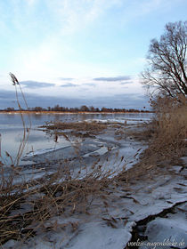 Eis-Winter von voelzis-augenblicke