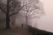 November Blues Freiburg by Patrick Lohmüller