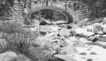 river covered with snow in black and white von timla