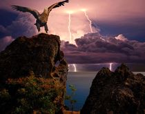 Eagle on a background of distant lightning flashes von Yuri Hope