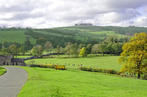 The Dovedale Dash by Thorpe Mill Farm von Rod Johnson