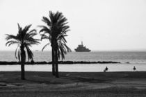 black and white palm beach von Jessy Libik
