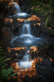 Clyne Park waterfalls von Leighton Collins