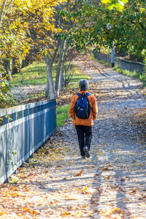 Spaziergang im Herbst von mroppx