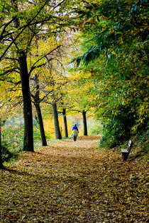 Noch ist Herbst, stilles Wandern by Hartmut Binder