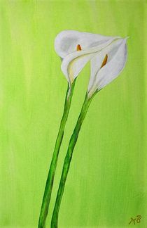 Calla by Monika Beirer