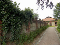 Siesta in Hoppegarten... von voelzis-augenblicke