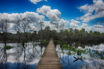 Water reflection by wamdesign