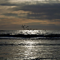 Dark foray over the sparkling Danish Sea von captainsilva