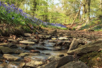 Bells by the Stream von David Tinsley