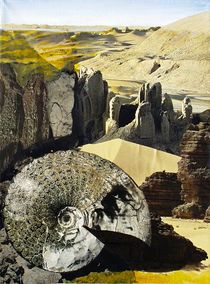 Wüstengebirge mit Ammonit by Heinz Sterzenbach