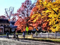 Riding Home From School by Susan Savad