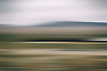 Roadrunner in der Wüste  by Bastian  Kienitz