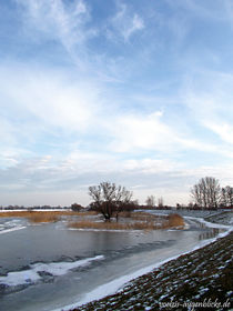 Eisiger Jahresbeginn by voelzis-augenblicke