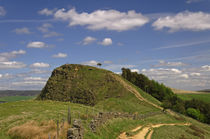 The Path to Back Tor by Rod Johnson