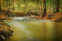 Chemnitzer Herbstimpression by moqui