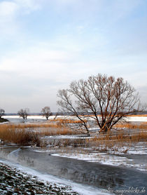 Frostige Zeiten by voelzis-augenblicke