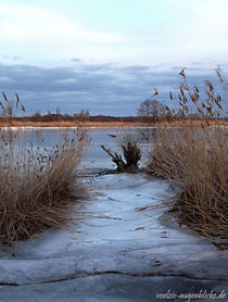 Sibirien zu Hause by voelzis-augenblicke