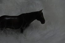 Horse by Jane Glennie