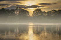 Misty Morn by Colin Metcalf