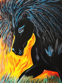 BLACK HORSE by Nora Shepley