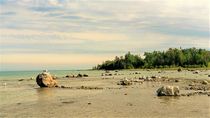 Morning on the Beach von Daniella Paudash