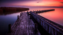 Lake Neusiedl by Zoltan Duray