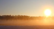 Klar  und leuchtend die Sonne über dem Nebel. von Simone Marsig