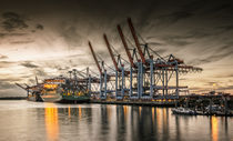 Waltershofer Hafen VI by photoart-hartmann