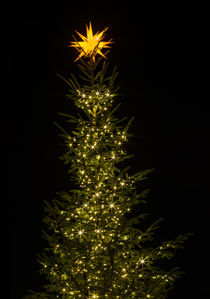 weihnachtsbaum by fotolos