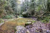 Riera de Martinet, Aiguafreda (Catalonia) by Marc Garrido Clotet