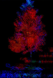 RED TREE  von urs-foto-art