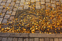 Bremer Schluessel auf Kanaldeckel mit gelben Herbstlaub und Bordstein by Torsten Krüger