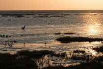 Wattenmeer im Sonnenuntergang by Björn Knauf