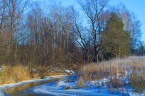 Frozen river von mnwind