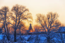 Winter. Village. Evening. von mnwind