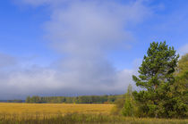 Field. Day. Cloud. von mnwind