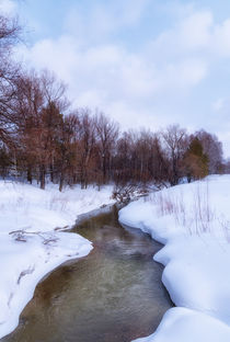 Spring. Forest. River von mnwind