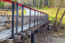 Spring. Forest. Bridge von mnwind