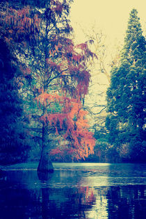 Herbst am See von mroppx