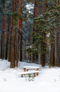 Winter. Forest. Bench von mnwind