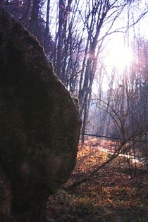 mystical atmosphere     #der wachsende Felsen von Usterling# von Photo-Art Gabi Lahl