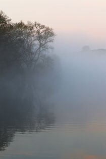 Bäume im Flussnebel by Bernhard Kaiser