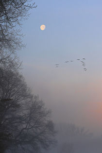 Vorbei am Mond by Bernhard Kaiser