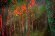 Autumn in the Magic Forest von mimulux