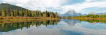 Grand Teton Panorama von Borg Enders